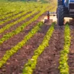 Tecnologia e Agricultura em Moçambique: Soluções Para o Futuro